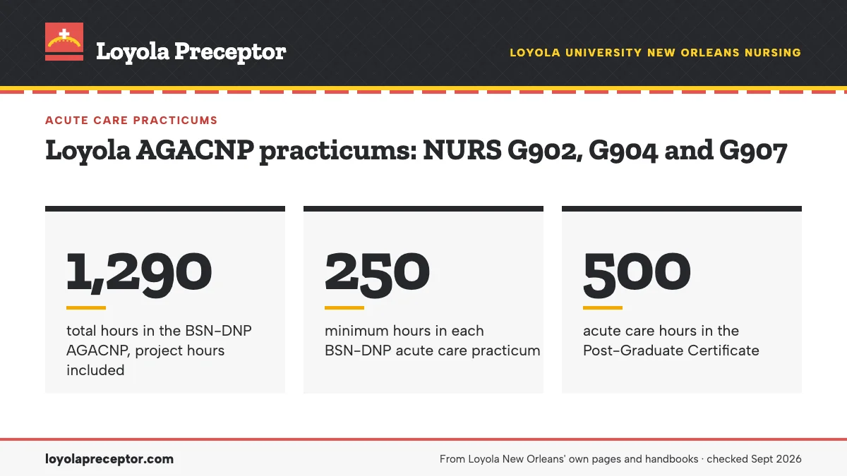 Loyola AGACNP practicums: NURS G902, G904 and G907. 1,290: total hours in the BSN-DNP AGACNP, project hours included; 250: minimum hours in each BSN-DNP acute care practicum; 500: acute care hours in the Post-Graduate Certificate.